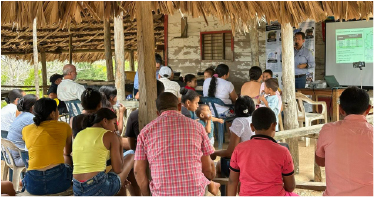 Descripción de la imagen
